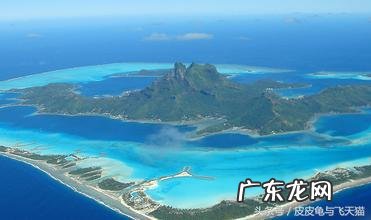 风水木局怎么样 风水中的木局是什么