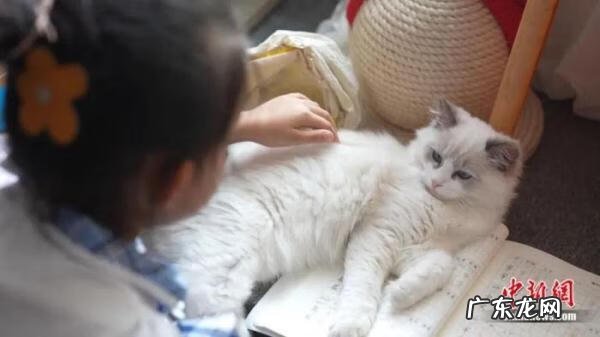 常去ktv的人会怎么样 经常去ktv好不好