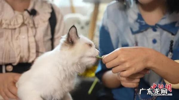 常去ktv的人会怎么样 经常去ktv好不好