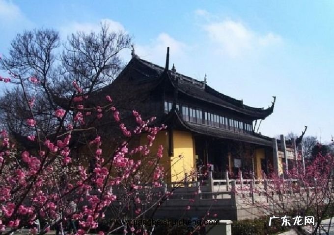 一部关于龙脉的电视剧 两师兄破别人风水龙脉电视剧