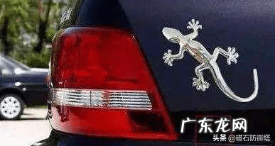 蜘蛛的寓意和象征风水 蜘蛛在风水学的意义