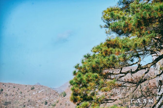 三合风水来龙立向 风水三龙聚首