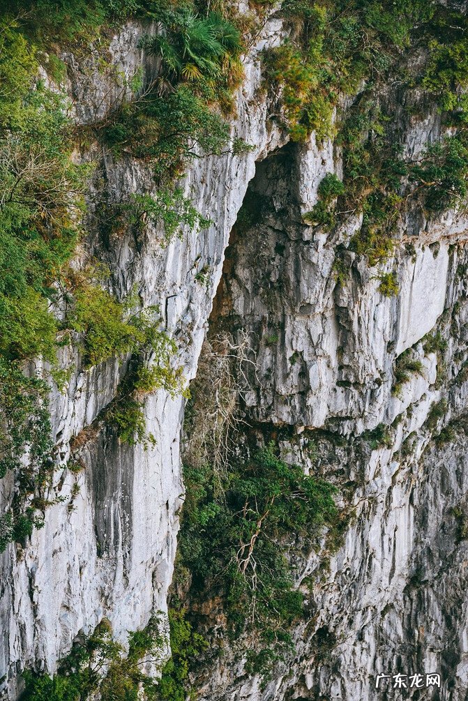 三合风水来龙立向 风水三龙聚首