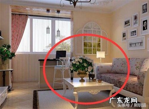 家庭种藤本植物的风水