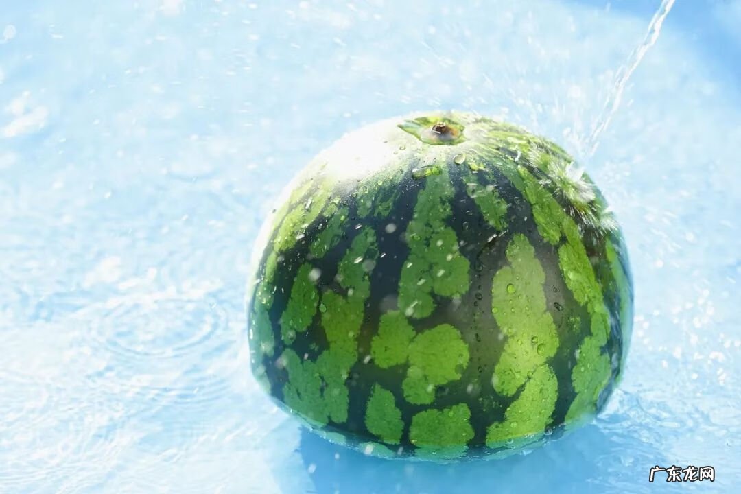 西瓜子能不能吃下去 西瓜子能吃么