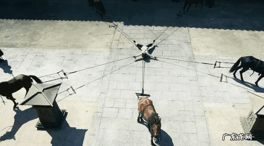 断头树风水 断头台风水