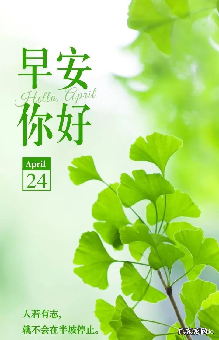 家里出现蚱蜢风水预示 断蚁什么意思