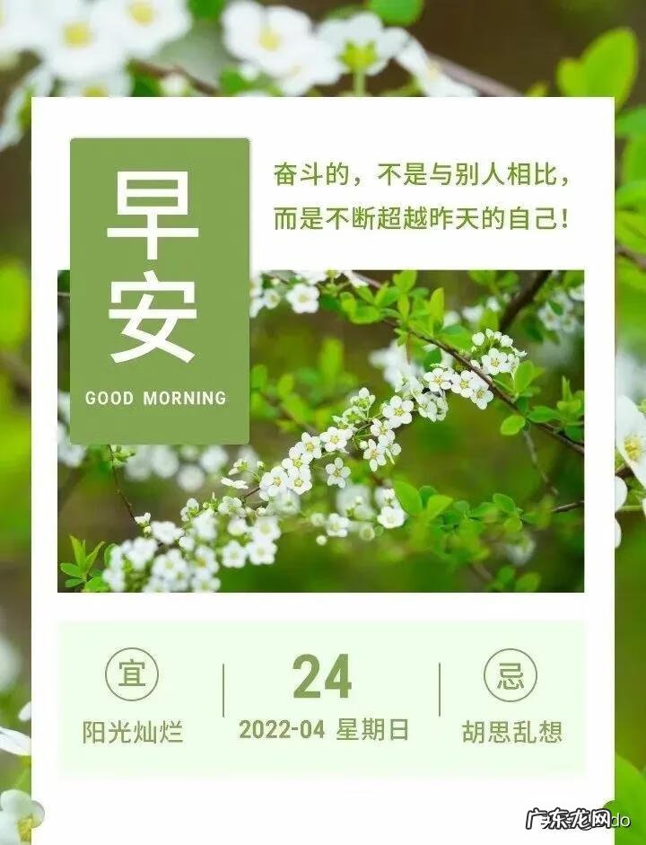 家里出现蚱蜢风水预示 断蚁什么意思