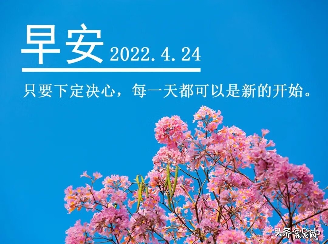 家里出现蚱蜢风水预示 断蚁什么意思