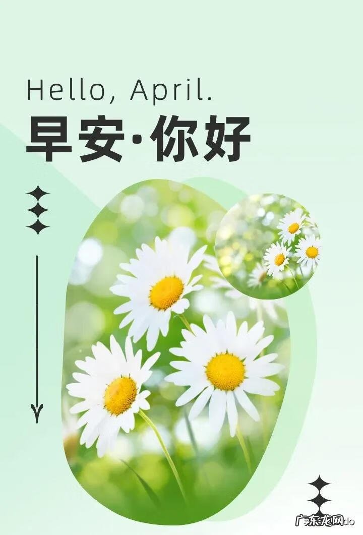 家里出现蚱蜢风水预示 断蚁什么意思