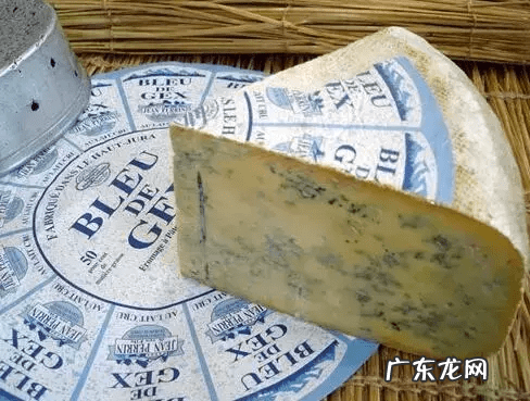 乳酪食品是哪些 乳酪是什么意思