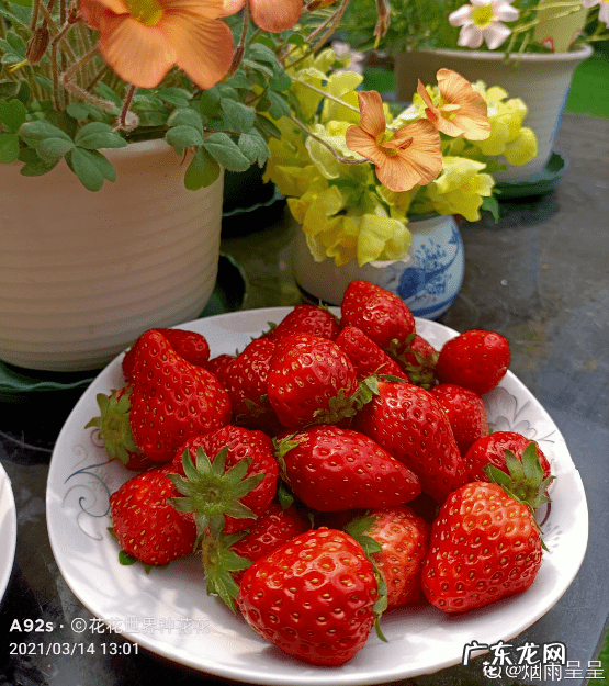 淘米水洗发水骗局 淘米水