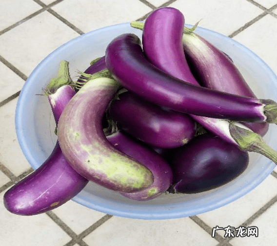 淘米水洗发水骗局 淘米水