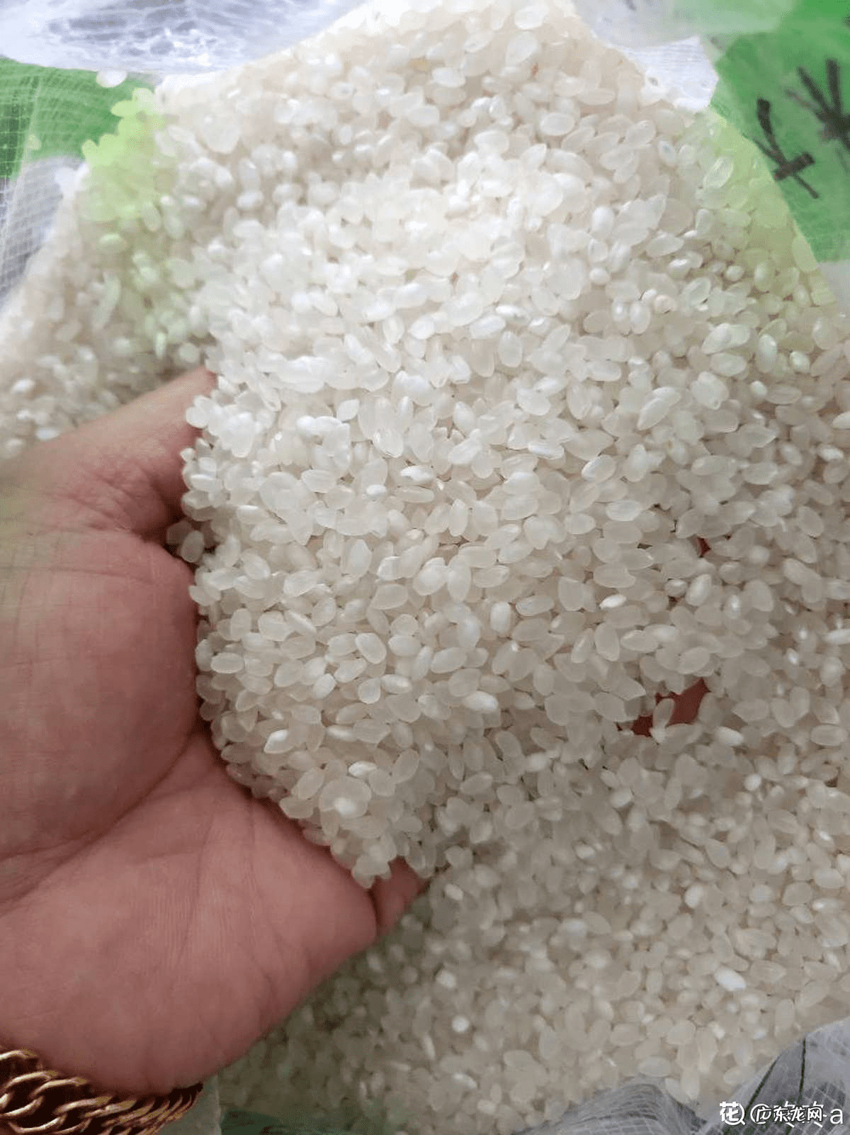 淘米水洗发水骗局 淘米水