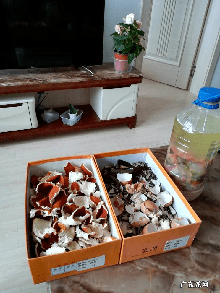 淘米水洗发水骗局 淘米水