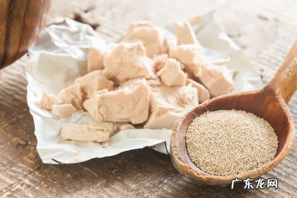 发酵粉是干什么用的 发酵粉是什么东西