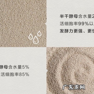 发酵粉是干什么用的 发酵粉是什么东西