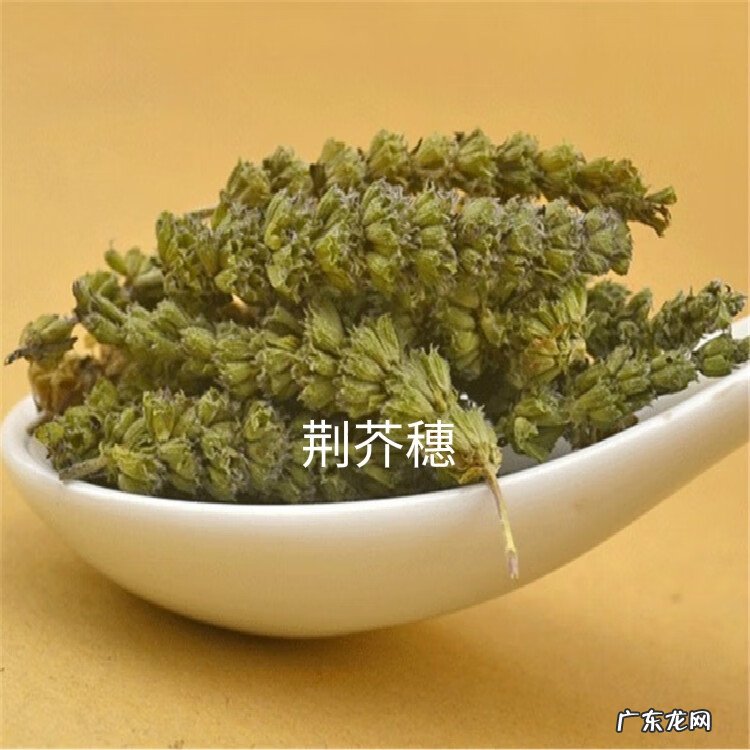 荆芥穗与荆芥区别功效与作用 荆芥穗别名叫什么