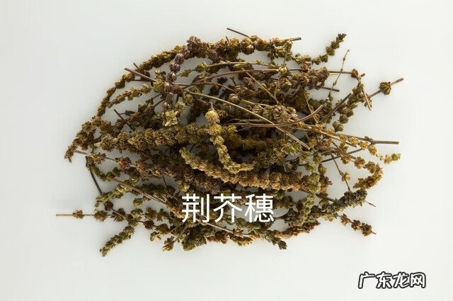 荆芥穗与荆芥区别功效与作用 荆芥穗别名叫什么