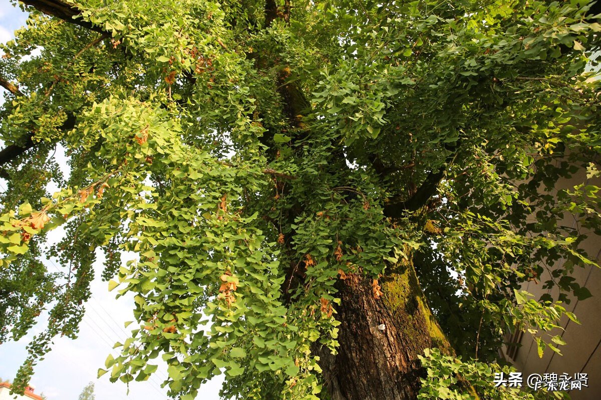 石山风水宝地 山区风水宝地
