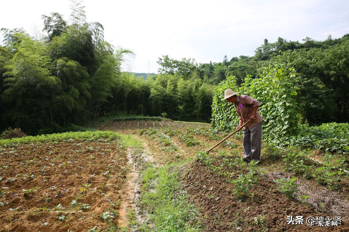 石山风水宝地 山区风水宝地