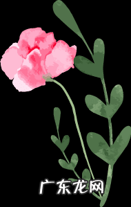 乳房下垂怎么提升上去 胸部松弛下垂怎么办