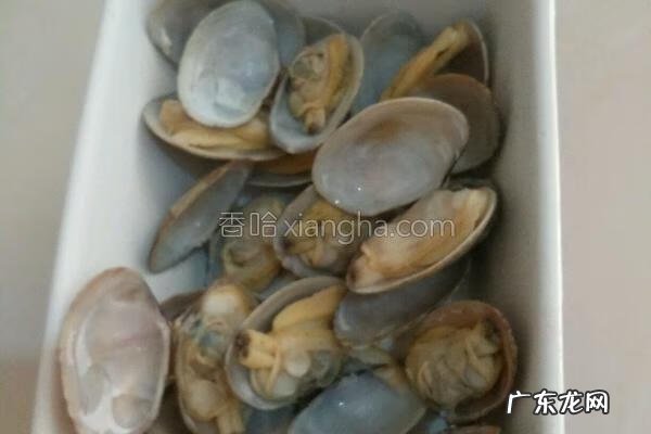 文蛤蒸蛋 蛤蜊蒸蛋的做法