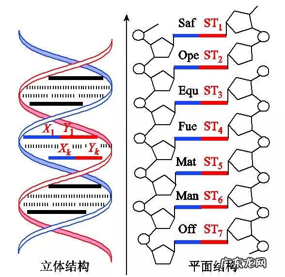 动力耦合装置 基于仿生叶片的风水耦合发电装置