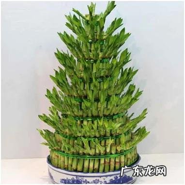 风水罗盘方位解释 风水罗盘方位