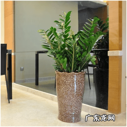 风水罗盘方位解释 风水罗盘方位