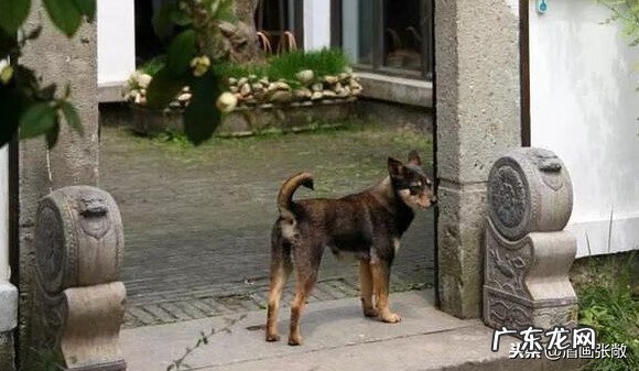 石磨摆件的风水意义 石磨 风水