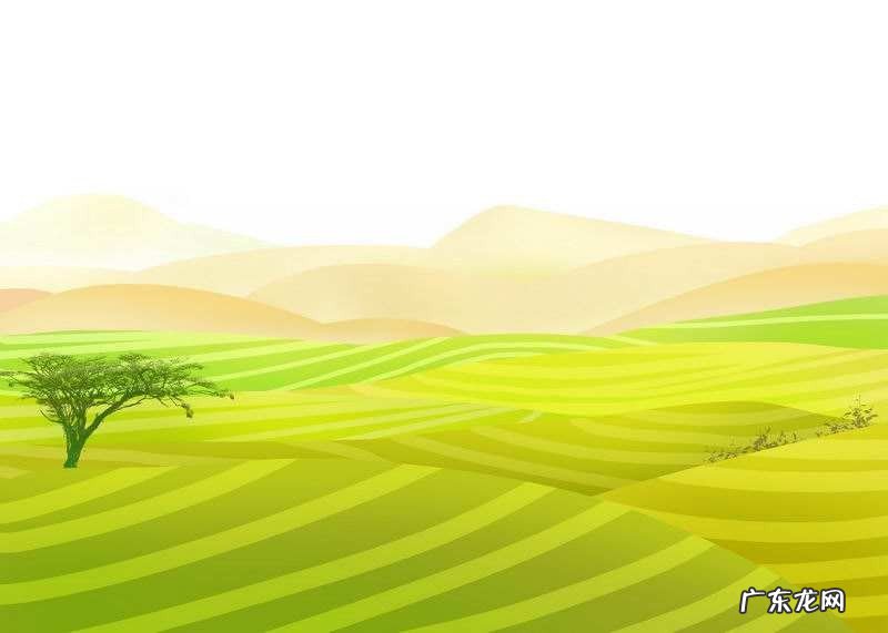 风水东南西北 东南是什么方位风水学