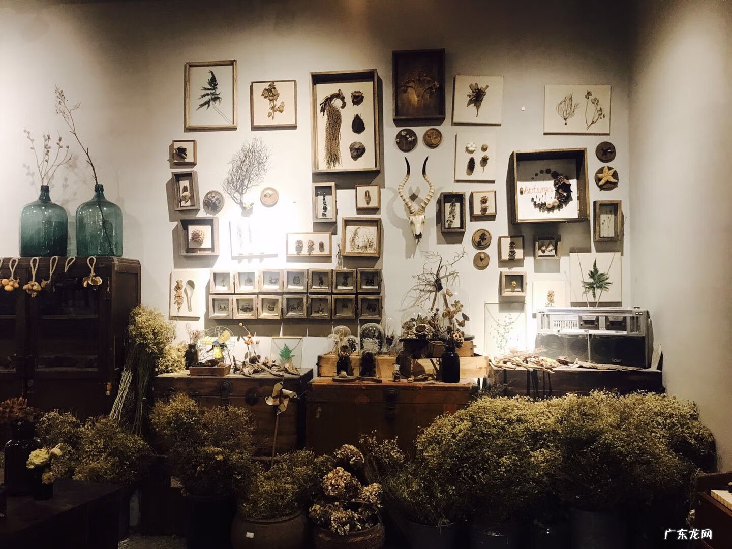 干花的风水 干花挂墙图片