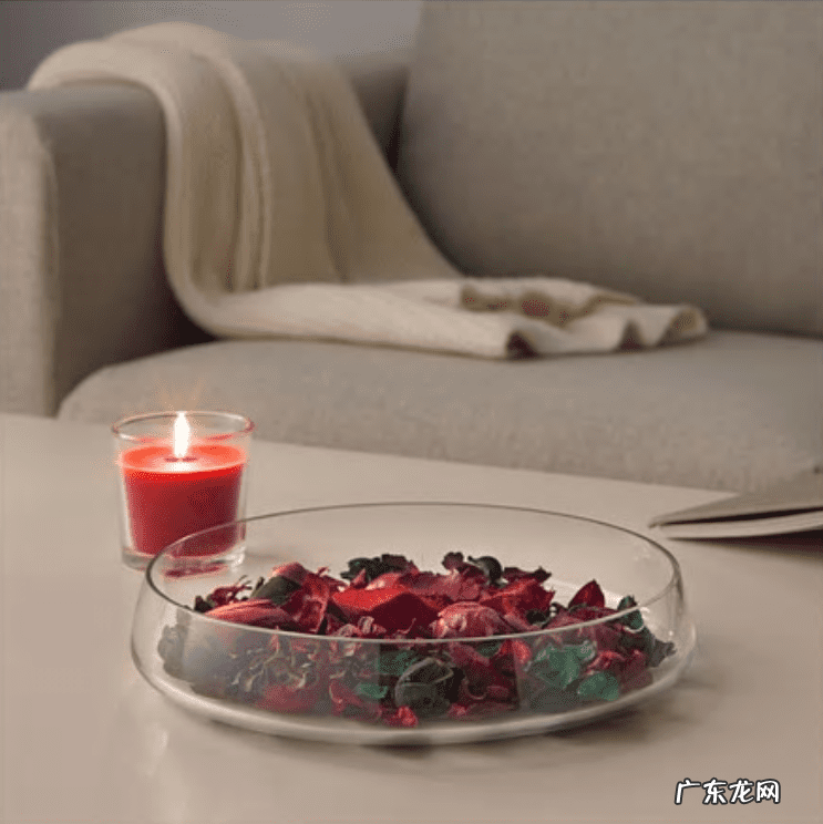 干花的风水 干花挂墙图片