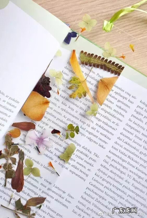 干花的风水 干花挂墙图片