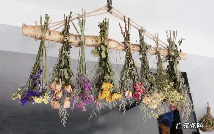 干花的风水 干花挂墙图片