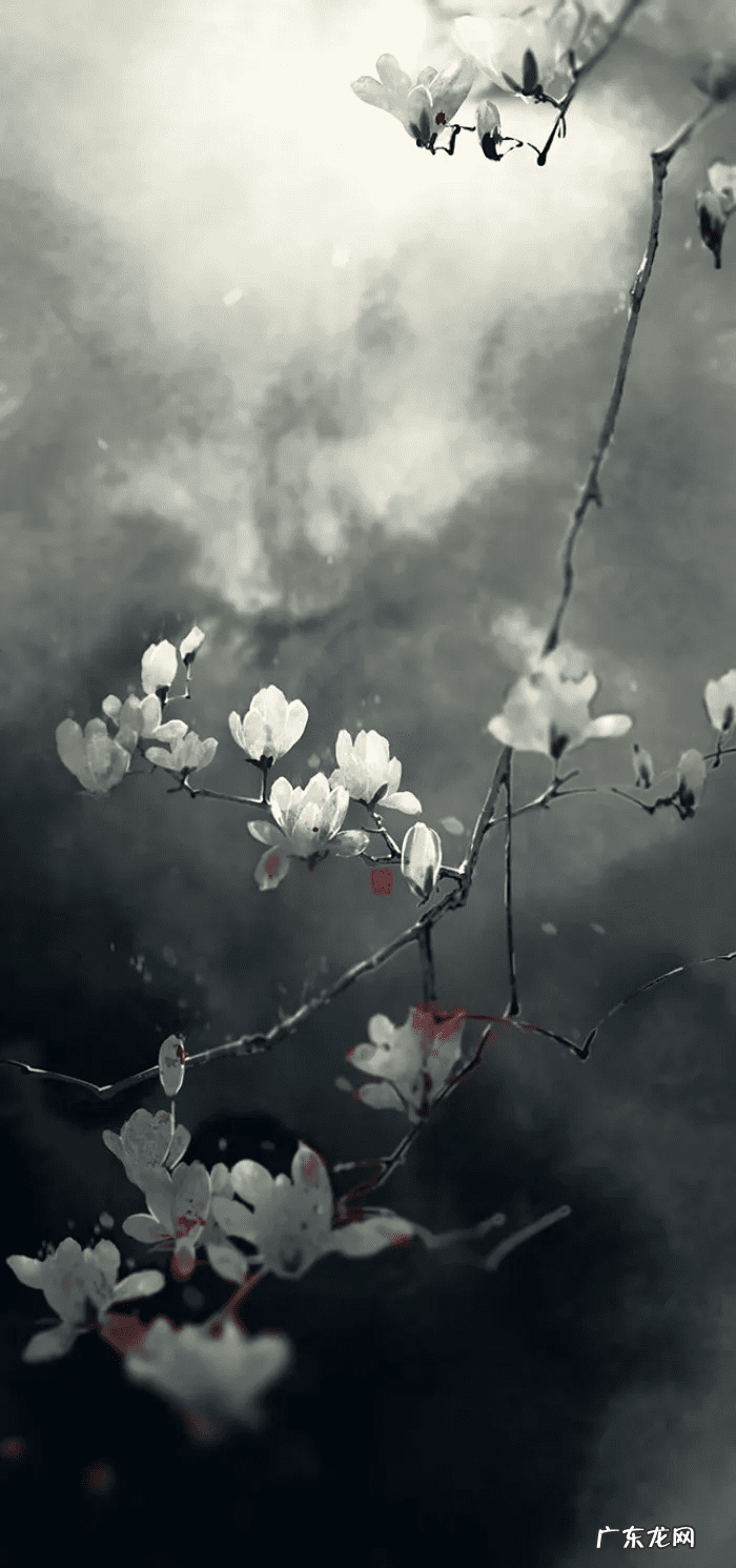 古风水印 古风水印图片素材