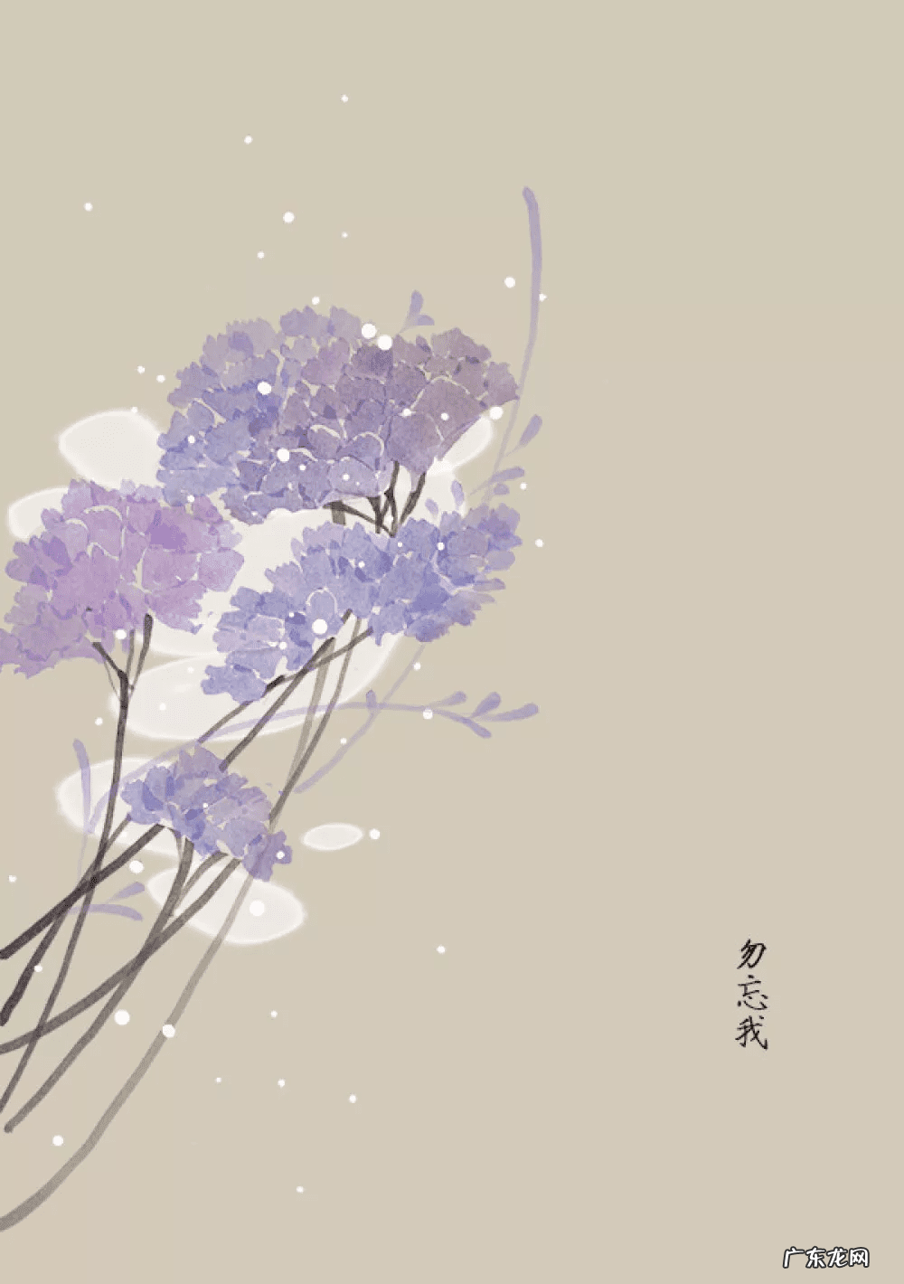 古风水印 古风水印图片素材