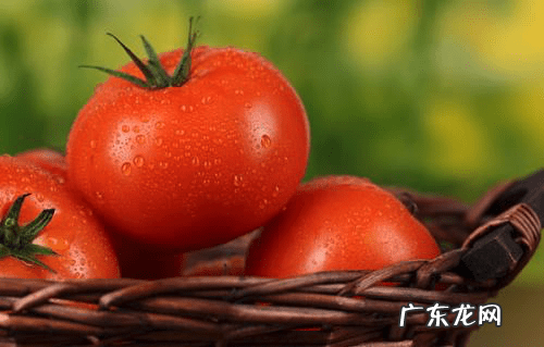 哪种水果是碱性 什么水果是碱性的