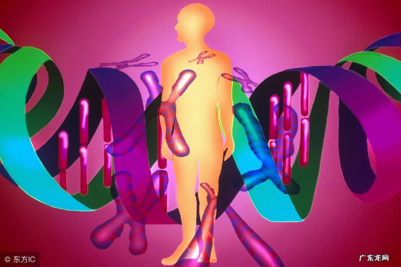 白癣和白斑区别图片 白点癫风遗传吗