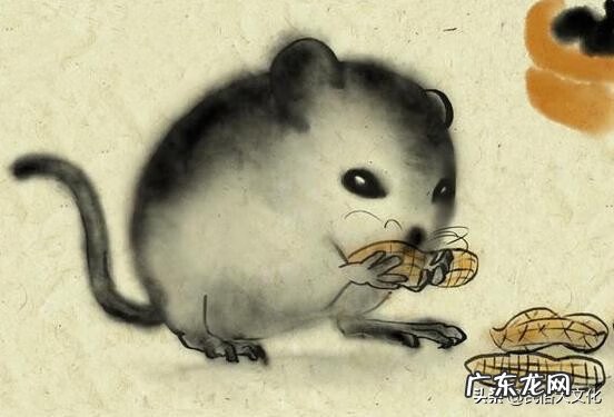 蛇的风水代表什么 蛇在风水里有什么说法