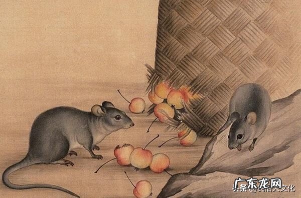 蛇的风水代表什么 蛇在风水里有什么说法