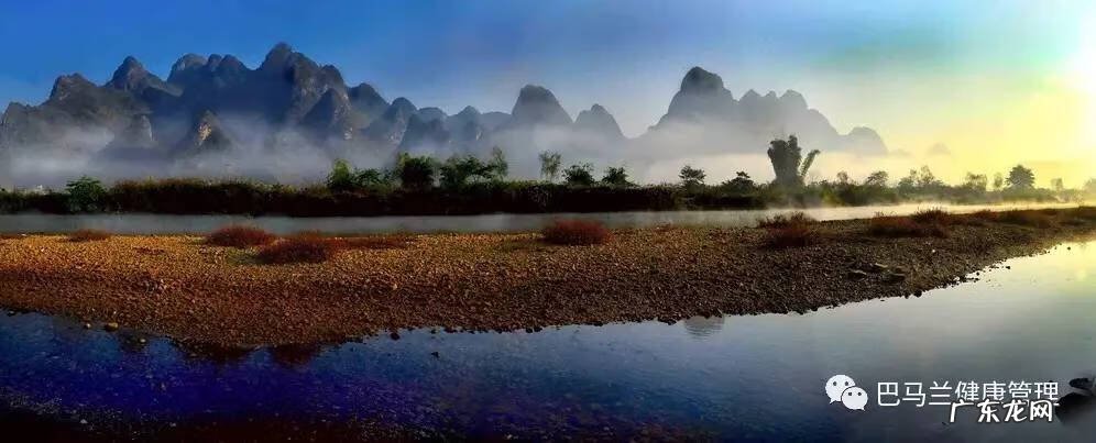 画中大雁的风水