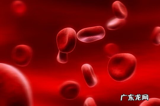 轻型地中海贫血怀孕 地中海贫血怀孕有危险吗