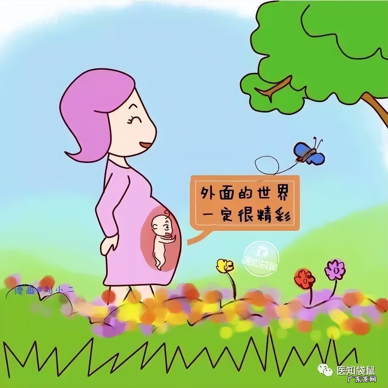 五个月胎儿图片 有多大 怀孕5个月胎儿图片