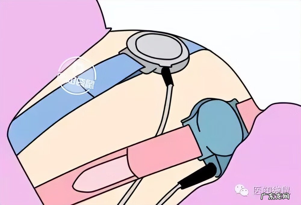 五个月胎儿图片 有多大 怀孕5个月胎儿图片