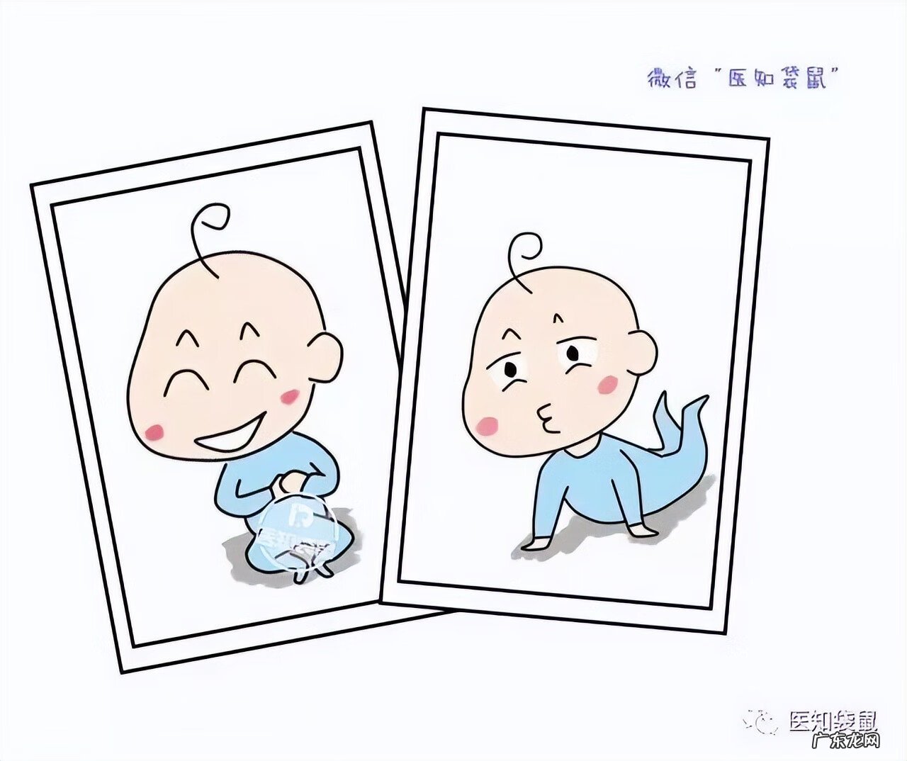 五个月胎儿图片 有多大 怀孕5个月胎儿图片