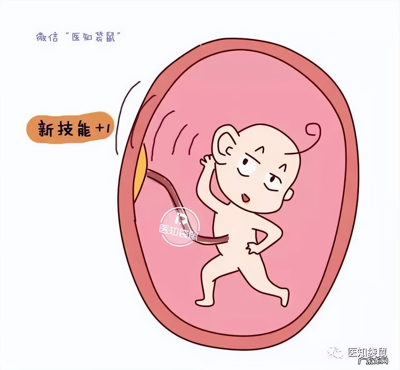 五个月胎儿图片 有多大 怀孕5个月胎儿图片