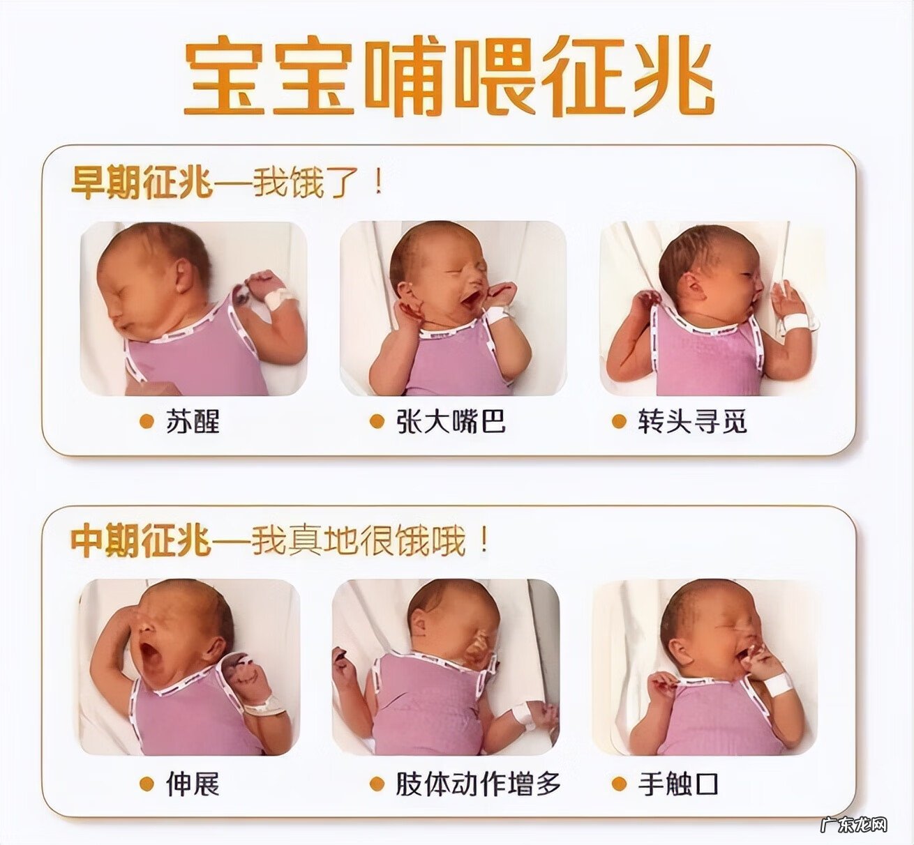 宝宝边喝奶边挣扎哭 婴儿吃奶哭闹不止