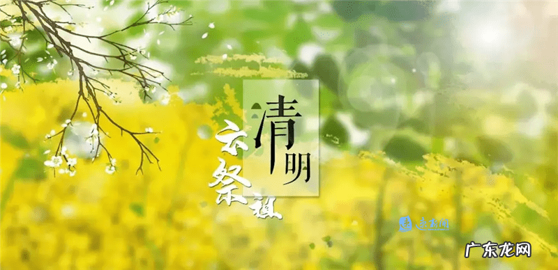 宿迁公墓设计尺寸 宿迁市公墓价格一览表